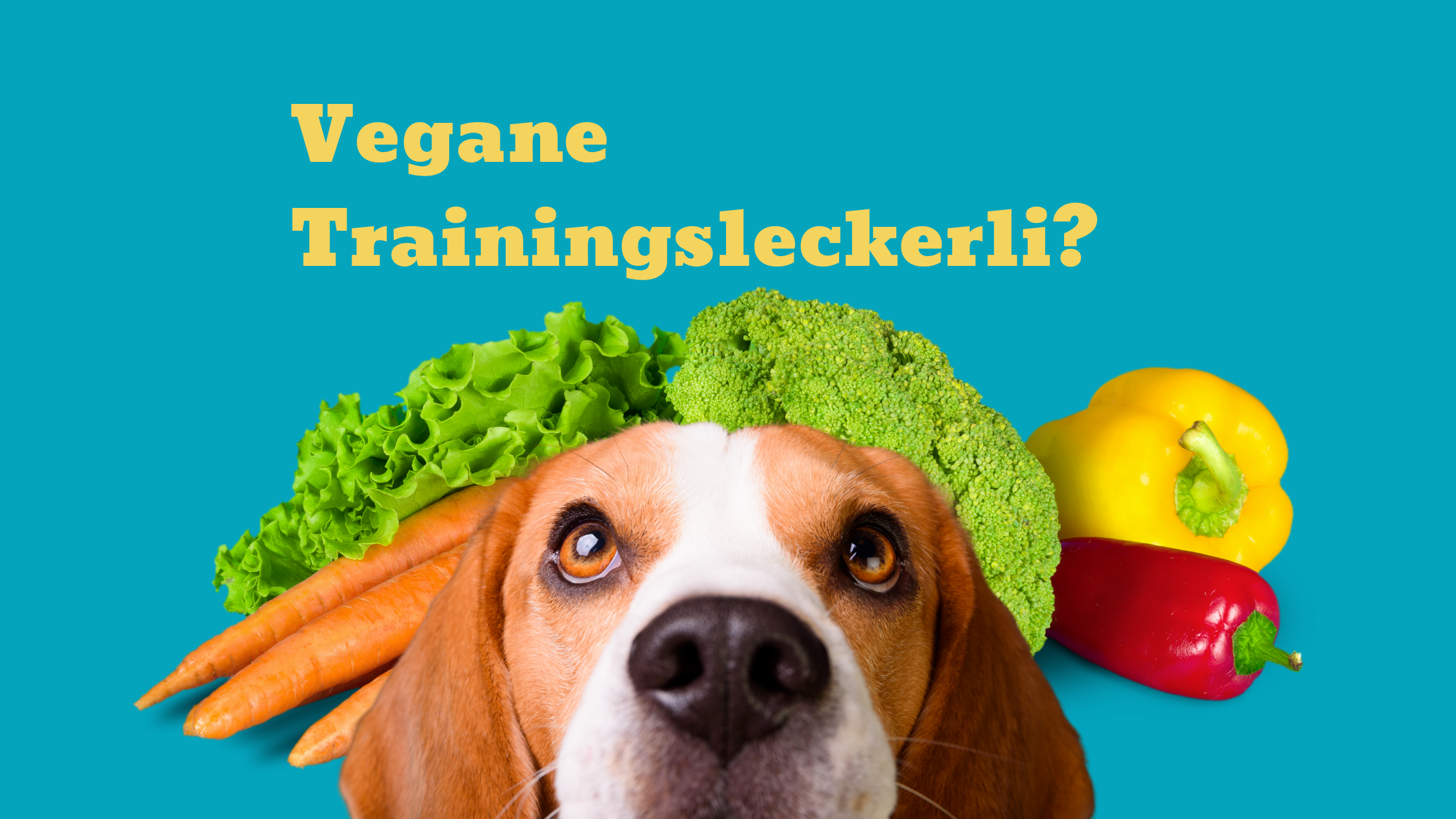 Trainingsleckerli: Können Hunde vegan leben?