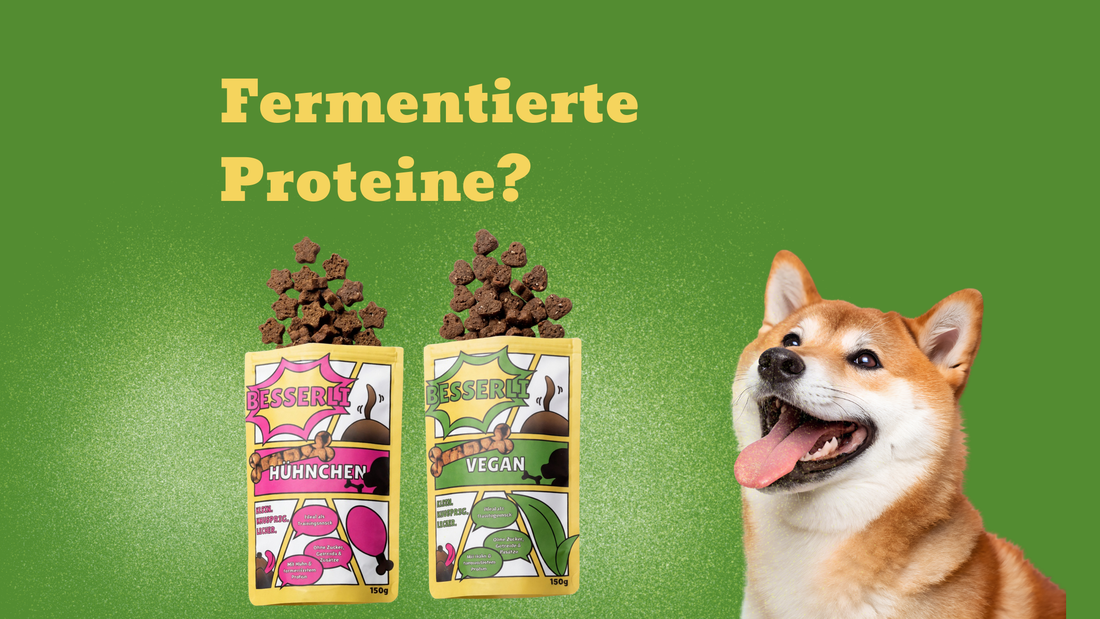 Gesunde Hundesnacks mit natürlichem Protein aus Fermentation: Unterstützung für Verdauung, Haut & Immunsystem