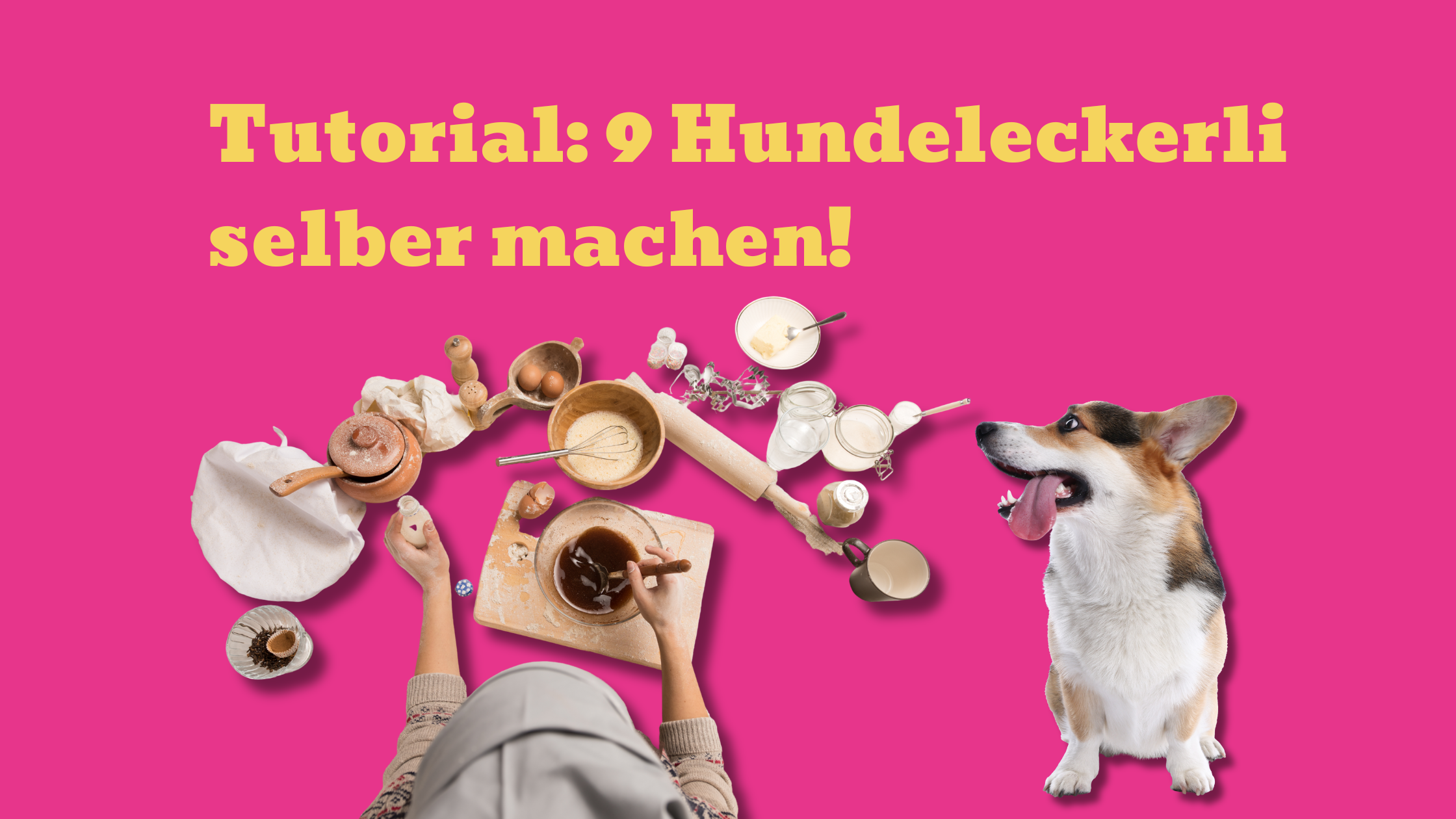 Hundekekse selber backen: 9 leckere Rezepte für gesunde Hundekekse