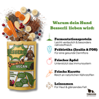 Besserli Probierpack